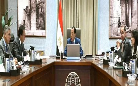 مدبولي يأمر بتسريع تنفيذ التأمين الصحي الشامل في المنيا وتوسيع نطاقه ليشمل الإسكندرية