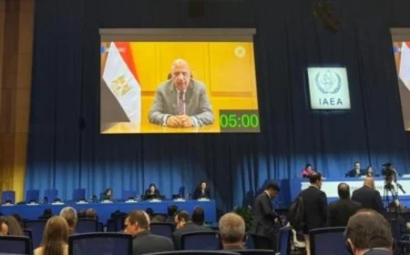 البرنامج النووي المصري يلتزم بأعلى معايير الأمان وفقاً لتصريحات وزير الكهرباء