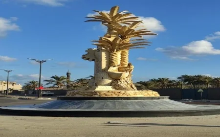 مشروعات جديدة تضئ شوارع وميادين البحيرة في احتفالات العيد القومي