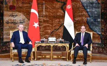 السيسي وأردوغان يعززان الزخم المتزايد في العلاقات المصرية التركية