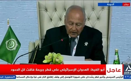 أبو الغيط: العدوان الإسرائيلي على قطر يتجاوز كل الحدود بنحو جريمة كبيرة