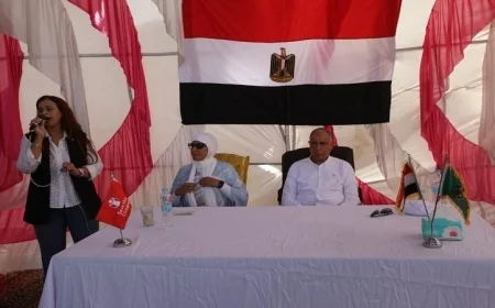 محافظ المنيا يقدم شيكات دعم لأصحاب المشروعات الصغيرة بقرية قلندول