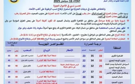الأرصاد تعلن تحسن نسبي في الطقس ودرجة الحرارة بالقاهرة تصل إلى 33 درجة