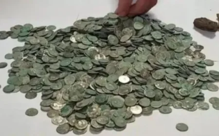 اكتشاف كنز أثري مذهل يعود إلى 1900 عام في منزل برومانيا