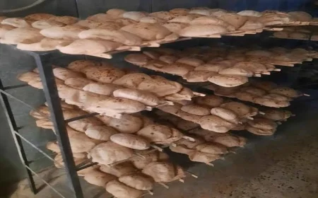 تحرير 423 مخالفة تموينية في حملات مكثفة بالقليوبية