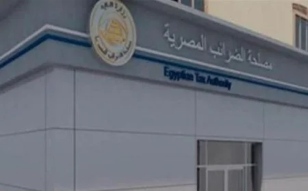 الضرائب تكشف عن إنفوجراف شامل للتجارة الإلكترونية