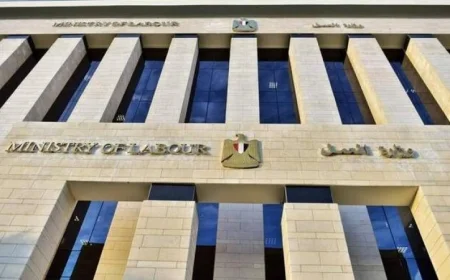 اكتشف فرص عمل جديدة في صناعة الكرتون والشيبسي في الأردن مع وزارة العمل