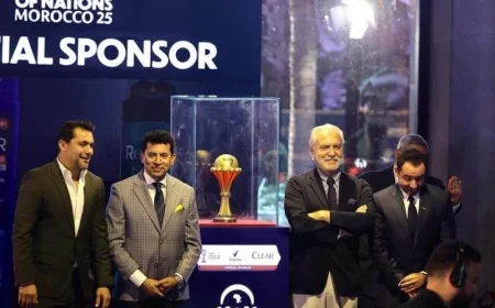 وزير الشباب والرياضة يشارك في احتفالية استقبال كأس الأمم الإفريقية في مصر