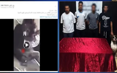 القبض على 4 أشخاص لتعاطي المخدرات في الجيزة