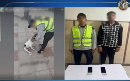 القبض على شخص بتهمة التعدي على كلب للترفيه والمرح في مطروح