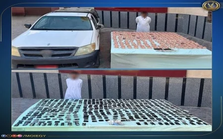 كشف وضبط كميات ضخمة من المخدرات والأسلحة غير المرخصة في عدة محافظات