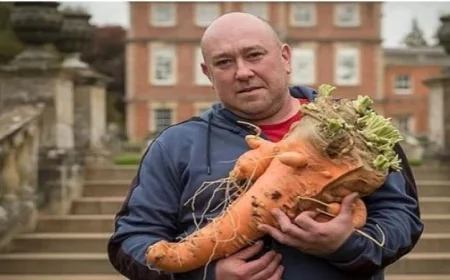 اكتشف أكبر معرض للخضراوات العملاقة في بريطانيا