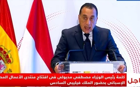 كيف ساهمت التشريعات المصرية في تحقيق طفرة بتحفيز الاستثمارات الأجنبية