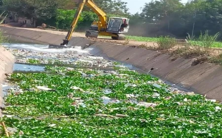 محافظ المنوفية يعلن عن ترخيص 801 مشروع زراعي متنوع لدفع عجلة التنمية الزراعية