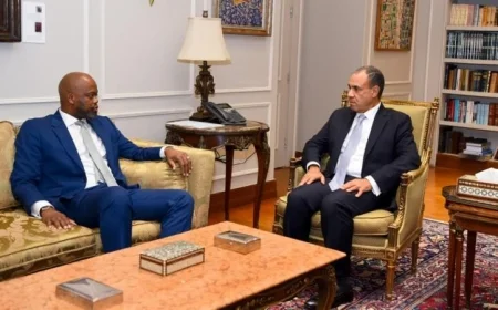 لقاء بين وزير الخارجية وسكرتير عام منطقة التجارة الحرة الأفريقية القارية لتعزيز التعاون الاقتصادي