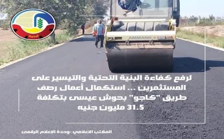 اكتمال أعمال رصف طريق كاجو بحوش عيسى بتكلفة 31.5 مليون جنيه