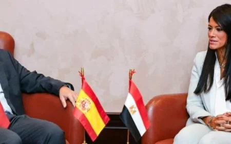 المشاط: الشركات الإسبانية تنفذ 95% من محطات طاقة الرياح في مصر