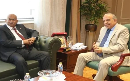 وزير الكهرباء يدرس تعزيز التعاون مع السودان في مشروعات الربط الكهربائي والطاقة المتجددة