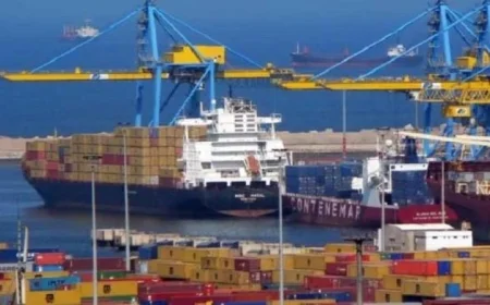 تداول 49 ألف طن بضائع متنوعة تعزز نشاط موانئ البحر الأحمر