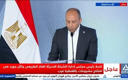 مشروع محطة تخفيض ضغط الغاز الطبيعي بالقنطرة غرب: كل ما تحتاج معرفته عن جهود جويد في المنطقة الصناعية