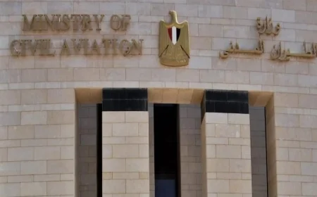 الطيران المدني يؤكد عدم تأثر رحلات الشركات المصرية بالهجمات السيبرانية