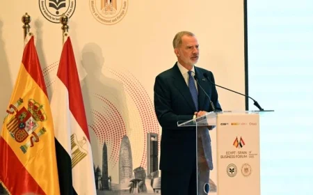 الملك الإسباني يثني على دور الشركات المصرية وإسهامها الحاسم في أسبانيا