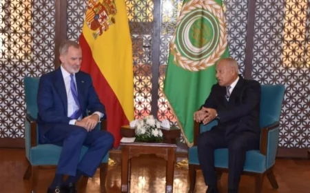 أبو الغيط يلتقي ملك إسبانيا ويعبر عن دعمه الثابت للقضية الفلسطينية