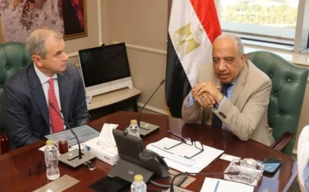 وزير الكهرباء يناقش تعزيز استثمارات الطاقة المتجددة مع شركة الكازار