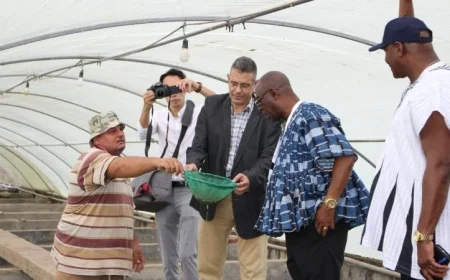 بالصور مصر ترفع مستوى التعاون الإفريقي في مجال الاستزراع السمكي