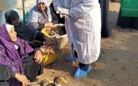 الزراعة تطلق برنامج التقصي النشط لتعزيز الأمن الغذائي في المزارع والأسواق