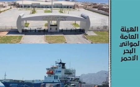 تداول 12 ألف طن و634 شاحنة بضائع متنوعة بموانئ البحر الأحمر يعزز حركة التجارة