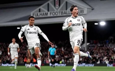 فولهام يقلب الطاولة على برينتفورد ويفوز 3-1 في البريميرليج لتحقيق انتصار ثمين