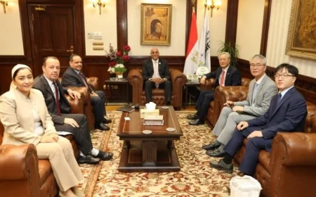 جهاز تنمية المشروعات بقيادة باسل رحمي يعزز التعاون بين مصر وكوريا الجنوبية