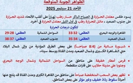 شاهد بالصور غدا طقس حار ورطب نهارا مع أمطار خفيفة بالشمال والعظمى في القاهرة تصل إلى 33