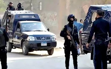 القبض على شخصين في القاهرة بعد انتشار فيديو يظهرهما يحملان أسلحة نارية وبيضاء