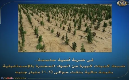 ضبط مخدرات بقيمة 1.6 مليار جنيه في الإسماعيلية في عملية أمنية حاسمة