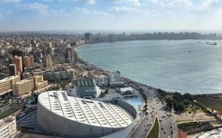 انطلاق فعاليات احتفالية العلوم 2025 في مكتبة الإسكندرية