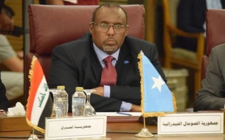 سفير الصومال في القاهرة يثني على دعم مصر المتواصل لبلاده