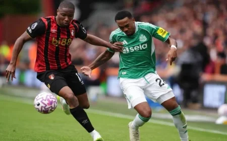 تعادل سلبي مثير بين بورنموث ونيوكاسل في الدوري الإنجليزي