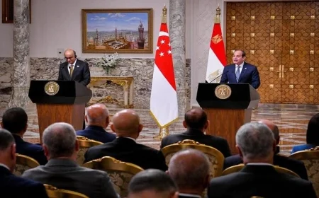 رئيس سنغافورة يشيد برؤية الرئيس السيسي لتعزيز العلاقات الثنائية