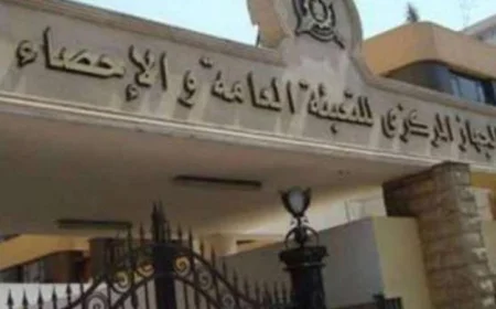 الإحصاء تكشف عن تبادل تجاري بقيمة 25.3 مليون دولار بين مصر ورواندا