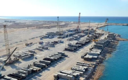 منطقة جرجوب تنعش الاقتصاد الوطني وتفتح آفاق استثمارية جديدة بشهادة شعبة المستوردين