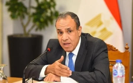 عبدالعاطي يستنكر بشدة الانتهاكات الإسرائيلية على الأراضي السورية