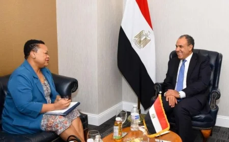 وزارة الخارجية تواصل الانخراط الإيجابي في مشروعات الآلية الأفريقية لمراجعة النظراء