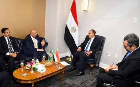 إشادة وزير الخارجية بدور مجلس التعاون الخليجي في تعزيز التعاون العربي