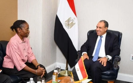 وزير الخارجية يناقش التطورات الإقليمية مع رئيسة مجموعة الأزمات الدولية