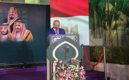 العلاقة الفريدة بين مصر والسعودية: تصريح من نائب رئيس مجلس الوزراء