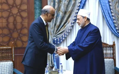 شيخ الأزهر ورئيس سنغافورة يتعهدان بمواصلة الجهود لوقف الهجمات على غزة