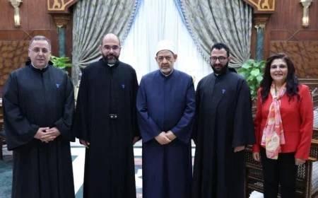 شيخ الأزهر يناشد المؤسسات الدينية للتدخل ووقف العدوان على غزة