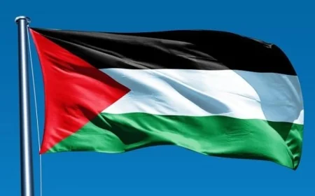 الاعتراف بدولة فلسطين في الأمم المتحدة: فرنسا ودول العالم تتأهب لاتخاذ خطوة تاريخية اليوم